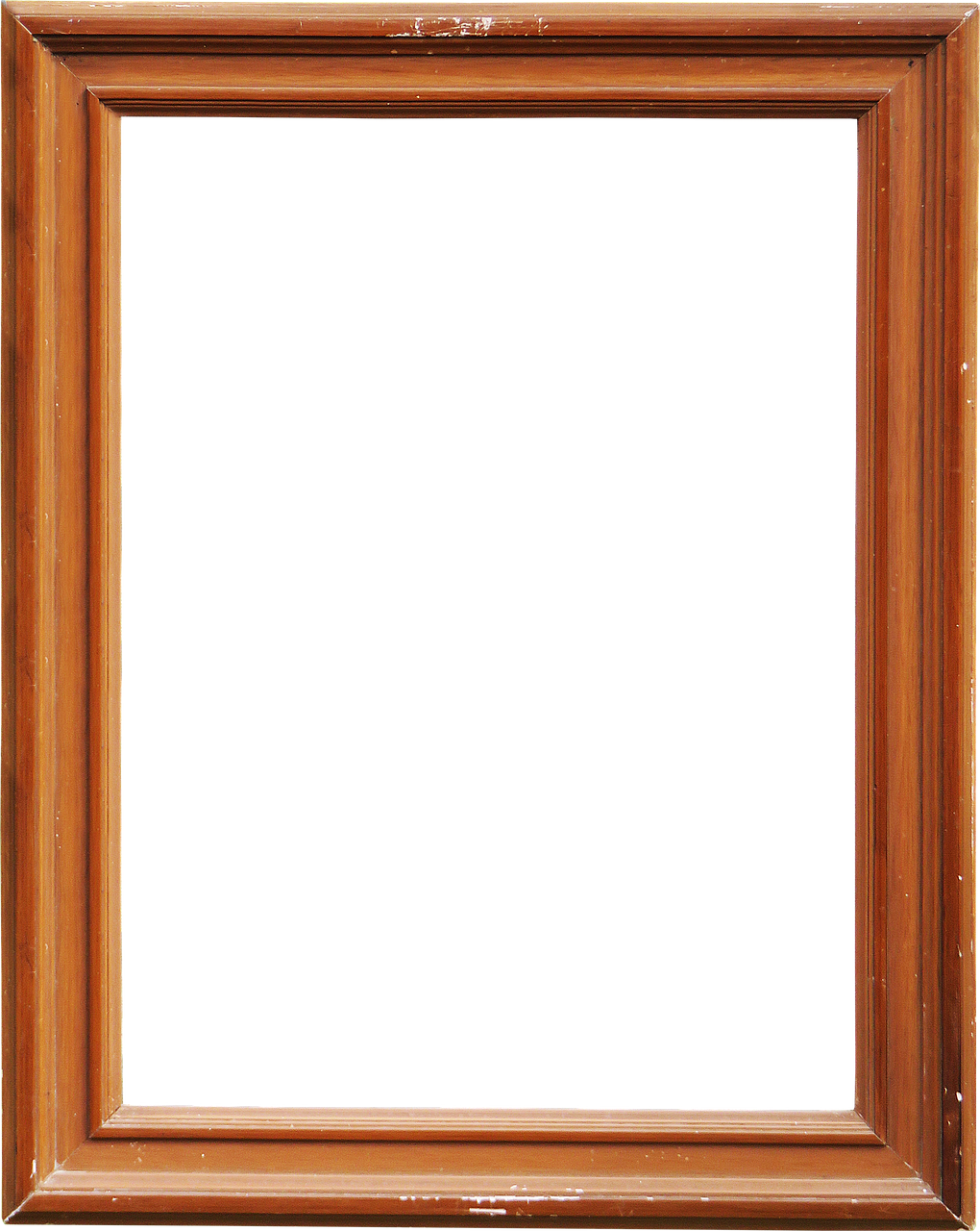 Frame,picture Leaf, - Picture Frame Clipart (500x627), Png Download