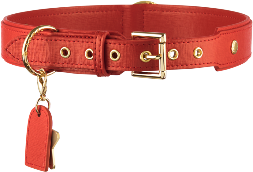 Red Dog Paw Png Clipart (827x564), Png Download