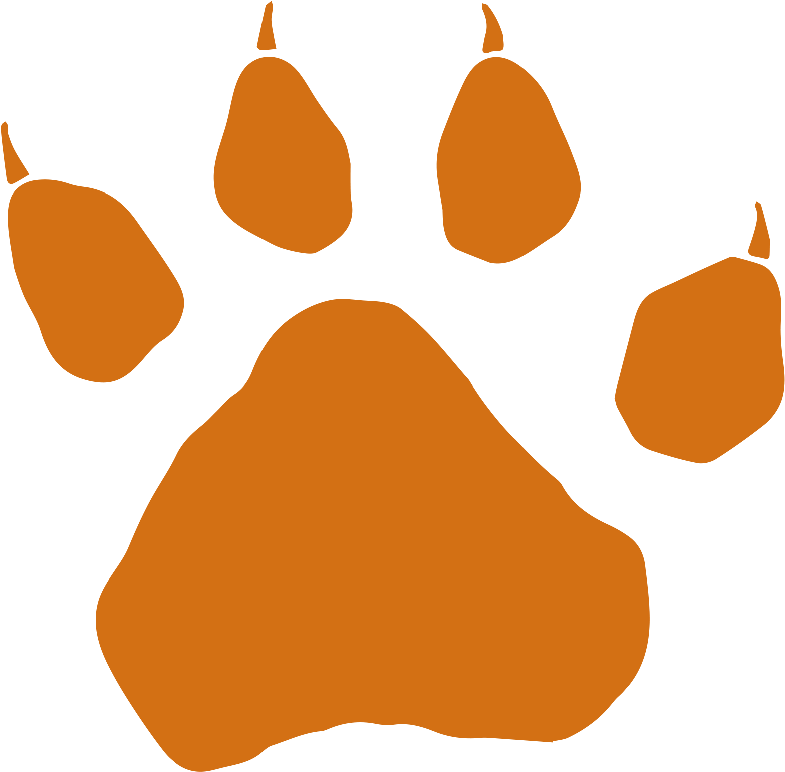 Dog Paw Drawing Clipart (1567x1540), Png Download