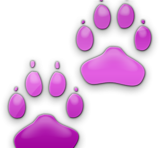 Neon Clipart Dog Paw - Dog Paw - Png Download (640x480), Png Download