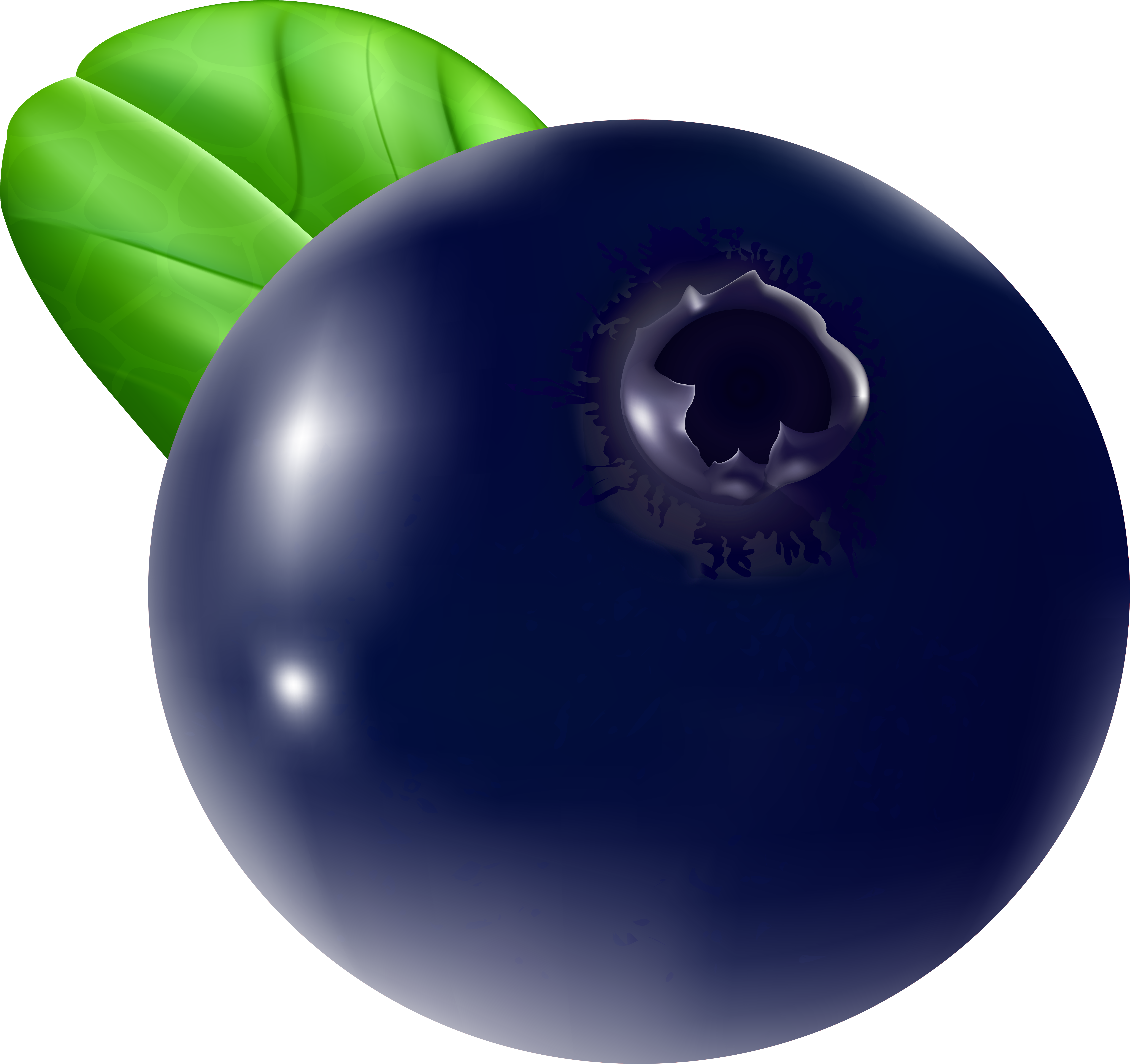 Blueberry Transparent Png Clip Art Image (7357x7000), Png Download