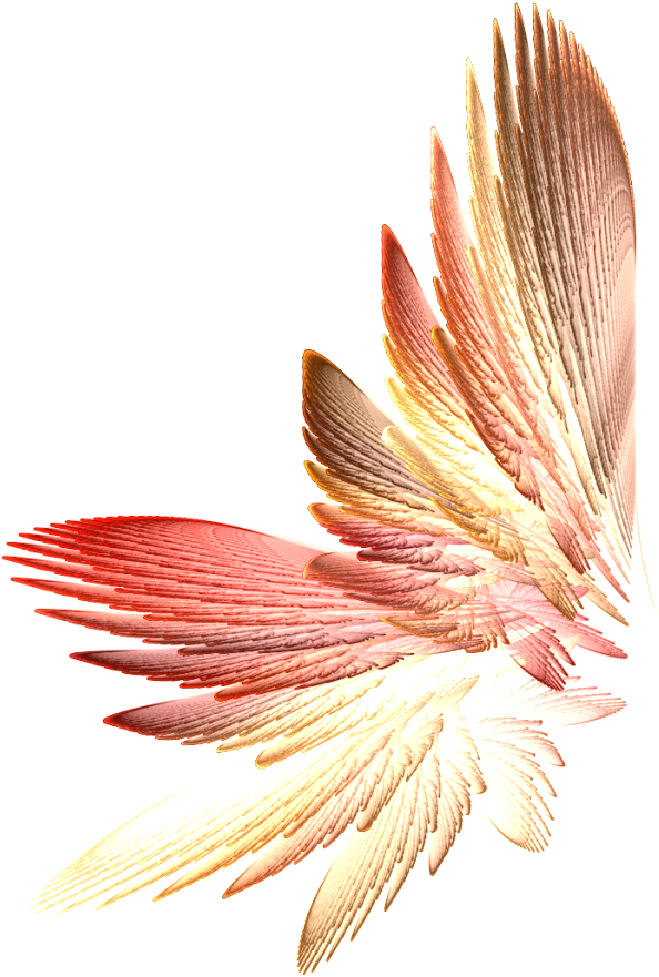 Tinkerbell Wings Png Download Clipart (594x881), Png Download