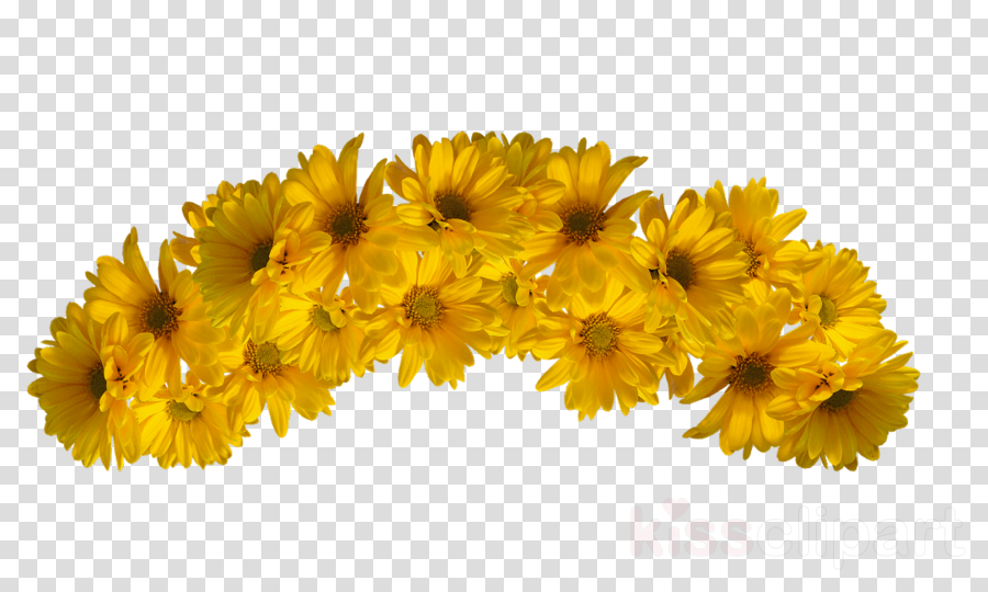 Transparent Flower Crowns - Yellow Flower Crown Png Clipart (900x540), Png Download