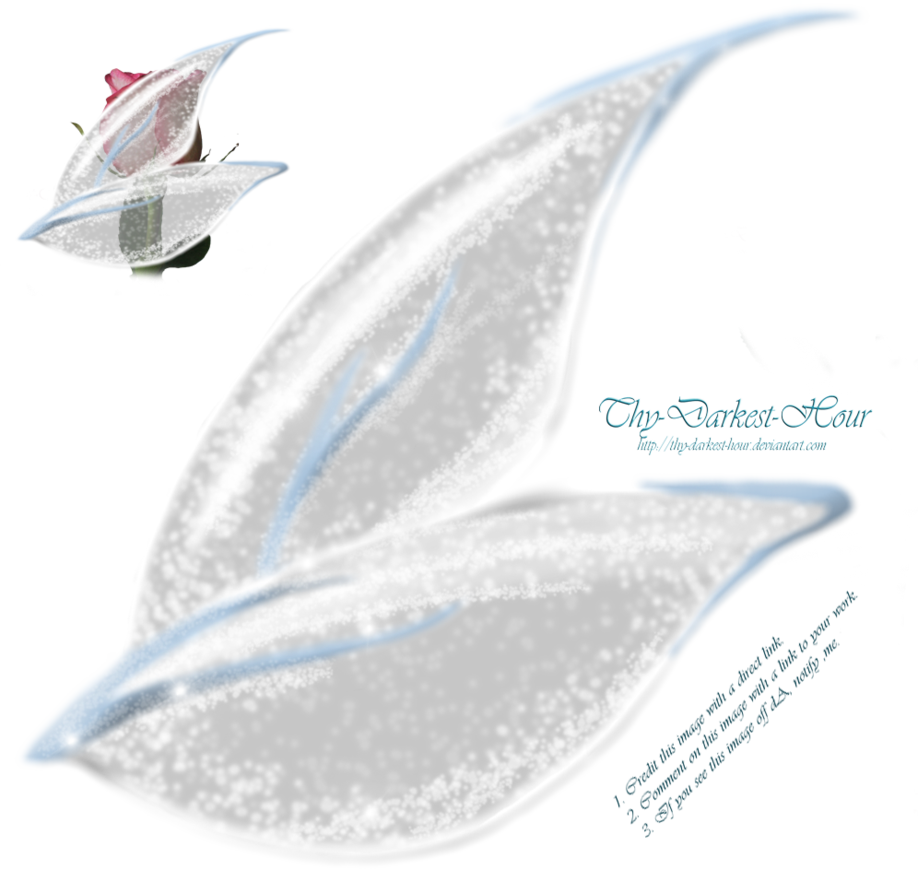 Fairy Wings Side View Png Clipart (918x870), Png Download
