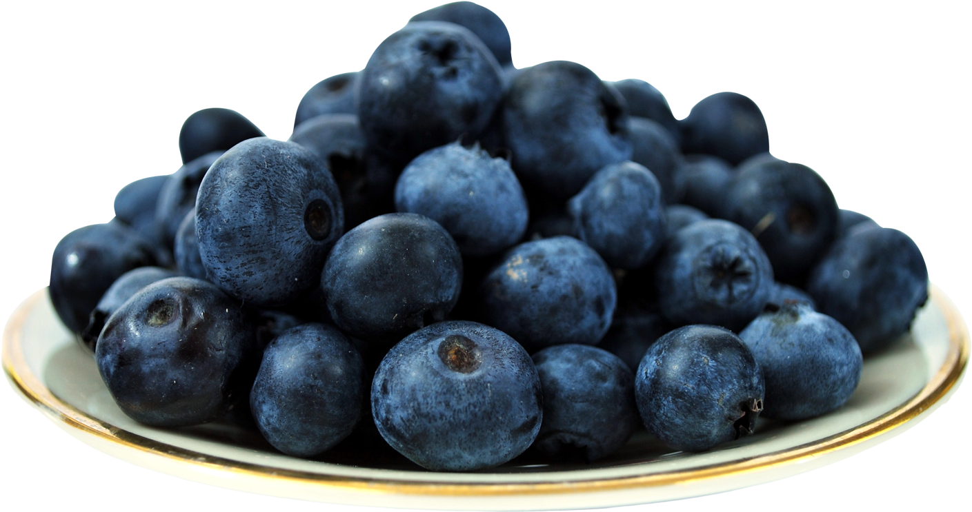 Plate Png, Blueberries, Flowering Plants, Fruit, Berry, - Blueberry Clipart (1460x783), Png Download
