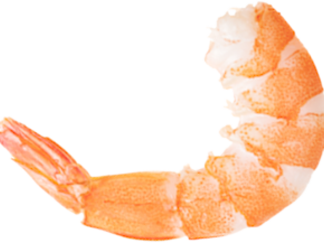 Shrimp Clipart Transparent Background - Portable Network Graphics - Png Download (640x480), Png Download
