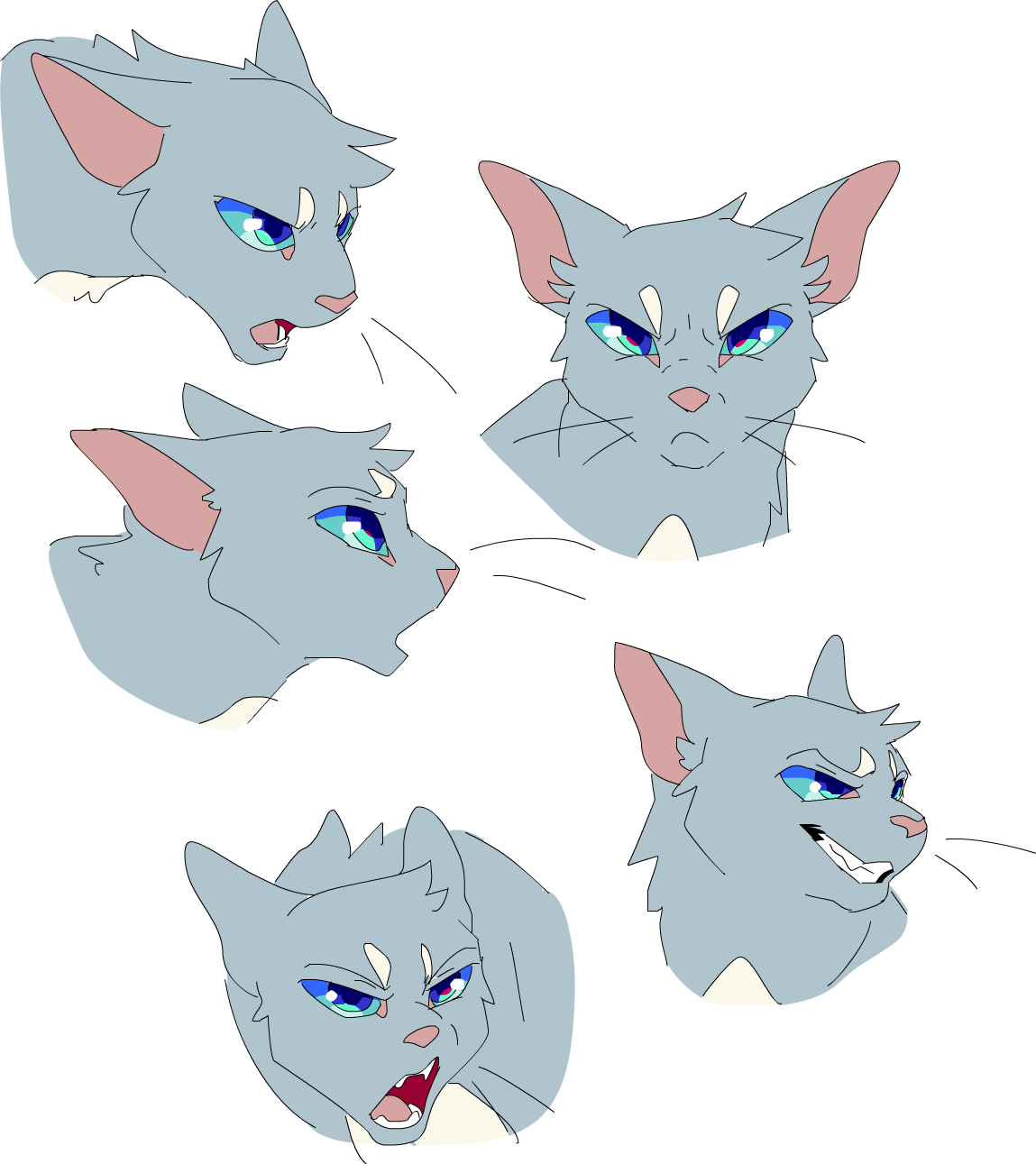 Clear Sky Moodboard - Warrior Cats Meow 286 Clipart (1149x1291), Png Download