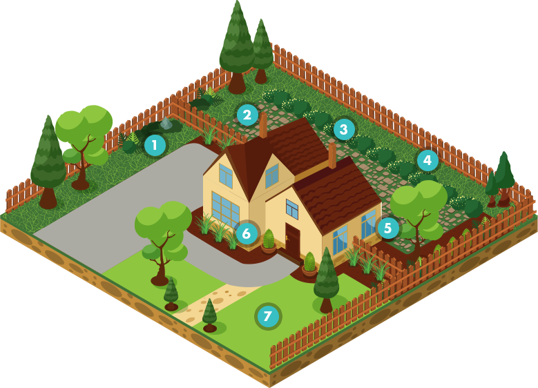 Tough Shrubs - Illustration Clipart (779x562), Png Download