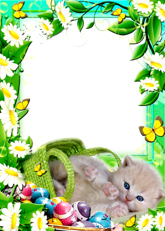 Easter Frames - Poze Personalizate De Paste Clipart (571x800), Png Download