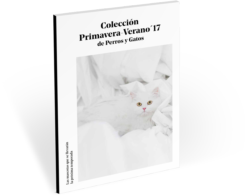 Guía Con La Colección Primavera '17 De Perros Y Gatos - Domestic Short-haired Cat Clipart (900x900), Png Download