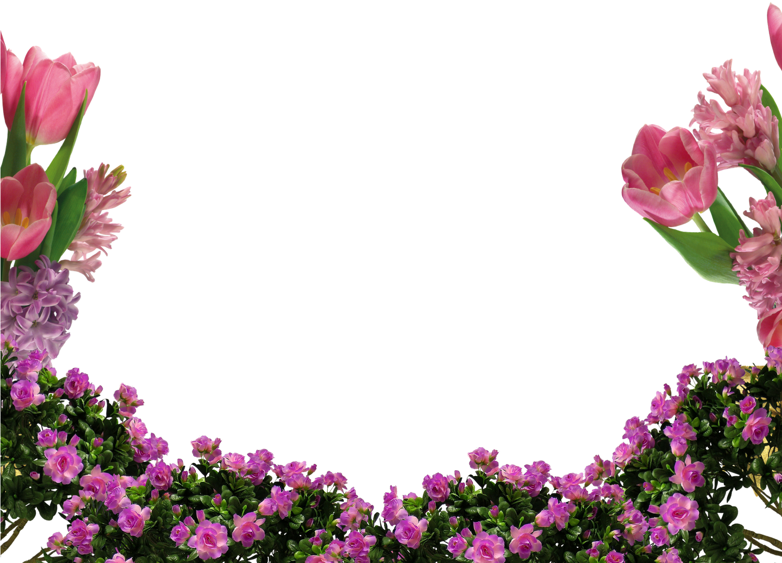 De Nuria D • Publicado En Marcos Para Fotos Con Flores - Nice Flowers Clipart (1600x1180), Png Download
