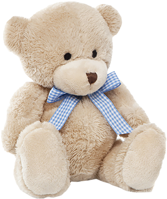 Share This - Oso De Peluche Png Clipart (700x800), Png Download
