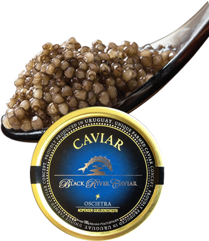 Cuchara - Mozartkugel Clipart (800x800), Png Download