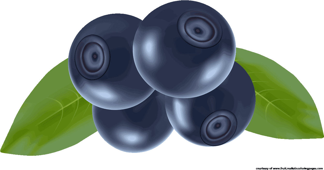 Blueberry Clipart Fresh - Fruits Vector - Png Download (1280x720), Png Download