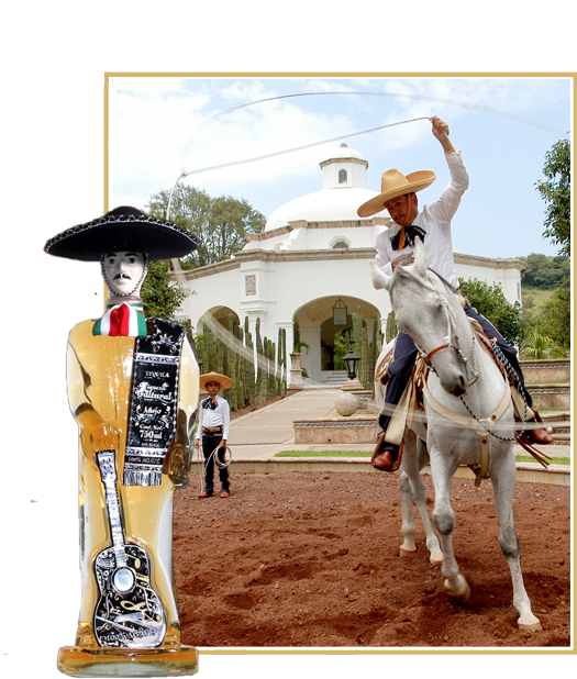 Tequividrio - Tequila Jalisco 2017 Clipart (568x645), Png Download