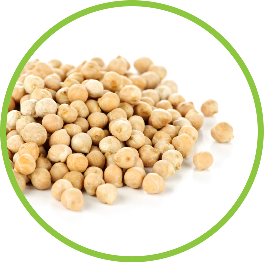 Chickpea Md Circle - Sex Power Increase By Food Clipart (562x562), Png Download