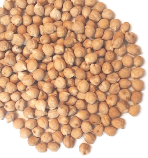 A Grade Chickpeas - Chickpea Clipart (565x565), Png Download