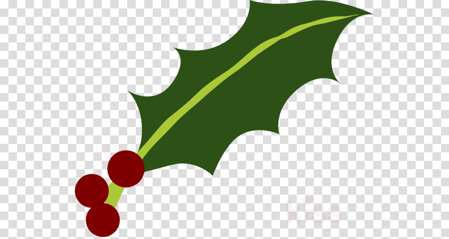 Download Holly Leaf Png Clipart Common Holly Yaupon - Question Marks No Background Transparent Png (900x480), Png Download