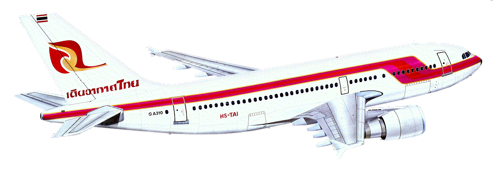 Photo Transportation Airplane3 - Model Aircraft Clipart (1000x348), Png Download