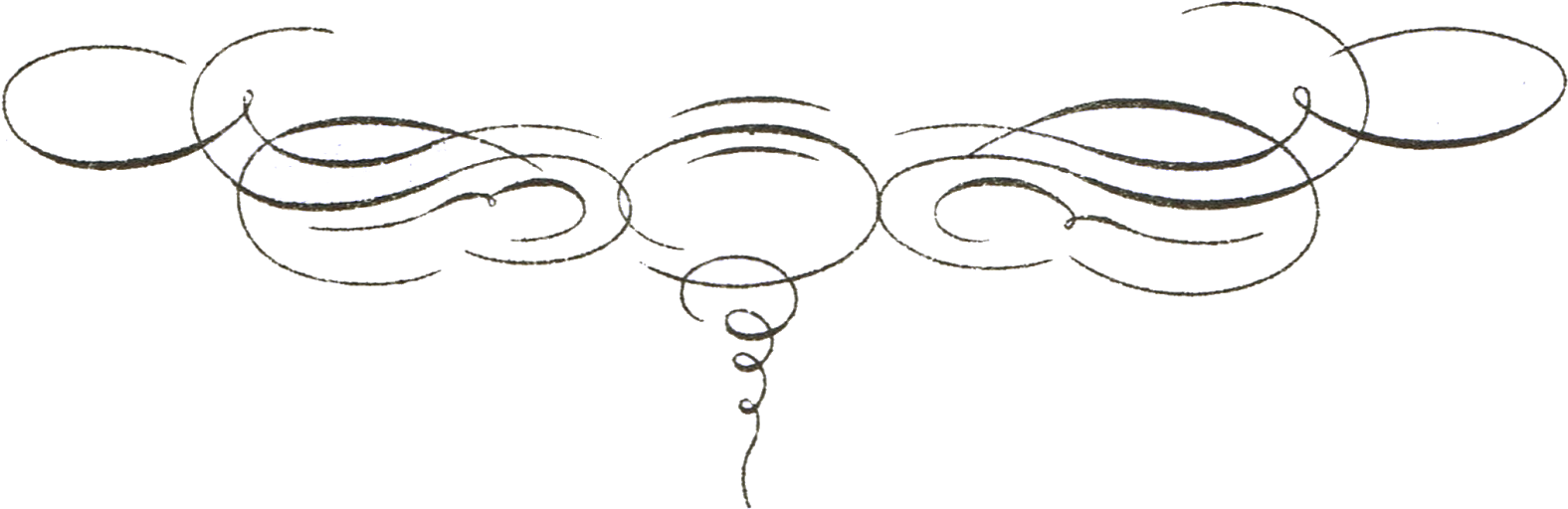 Here's The Pretty Scroll That Was Inside The Frame - Drawing Clipart (1600x577), Png Download