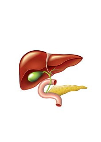 Illustration Clipart (1011x568), Png Download