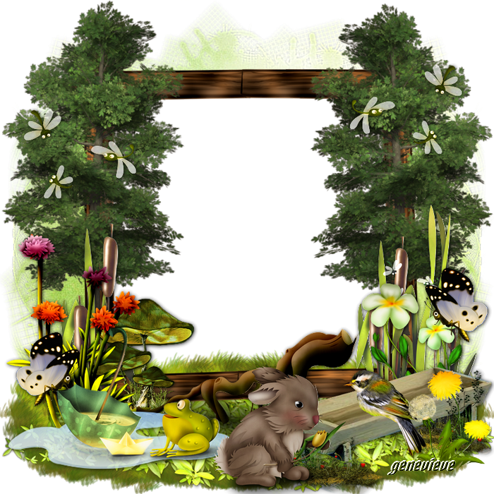 625163clusterflamantrose 638635clustermarguerite 646887mer - Png Cartoon Jungle Frame Clipart (700x700), Png Download