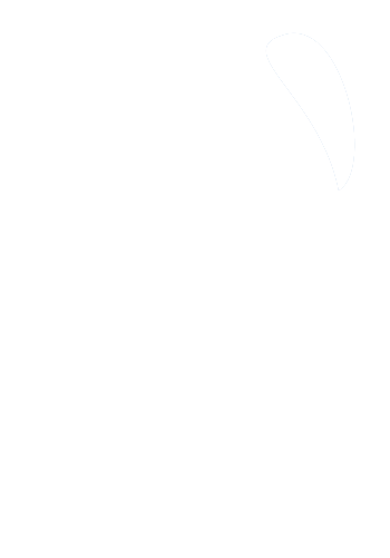 Dente - Tips Dental Niños Clipart (787x787), Png Download