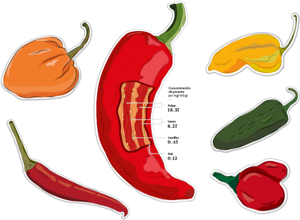 La Escala Scoville Es La Medida De Picor De Los Ajíes - Bird's Eye Chili Clipart (696x466), Png Download
