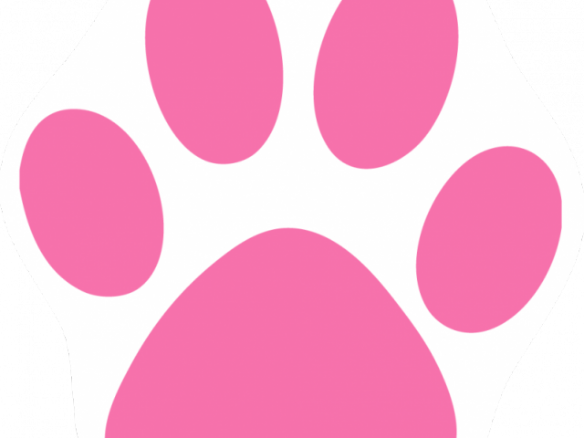 Cat Paw Print Image - Pink Cat Paw Png Clipart (640x480), Png Download