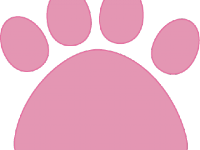 Circle Clipart (640x480), Png Download