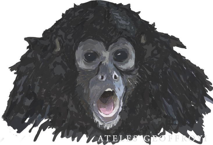 Viejo Verde - Picante - Standard Poodle Clipart (732x497), Png Download