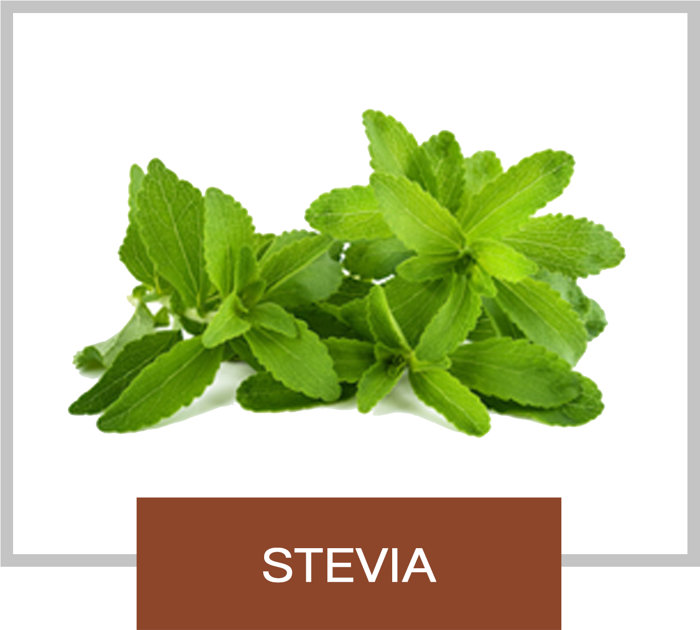 Zevia Leaf Clipart (1402x1261), Png Download