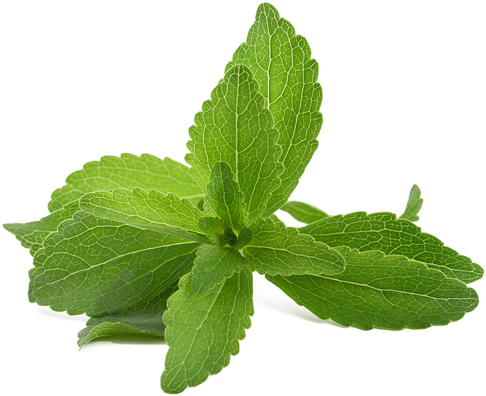 Stevia - Stevia Powder Clipart (800x566), Png Download