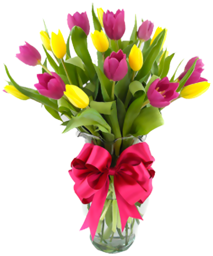 Happiness , Png Download - Tulips Bouquet Clipart (684x821), Png Download