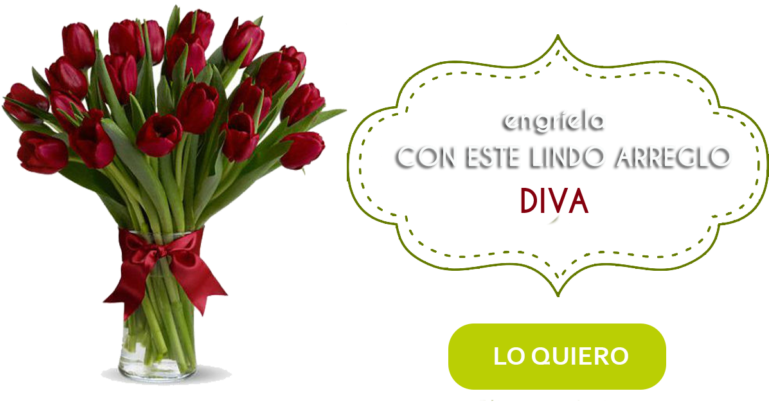 Flowers Piura - Tulipanes - Red Tulips Clipart (768x522), Png Download