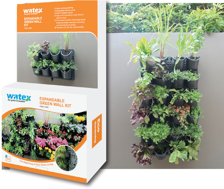 Green Wall Vertical Garden System - Growing Plants Up A Wall Clipart (812x656), Png Download