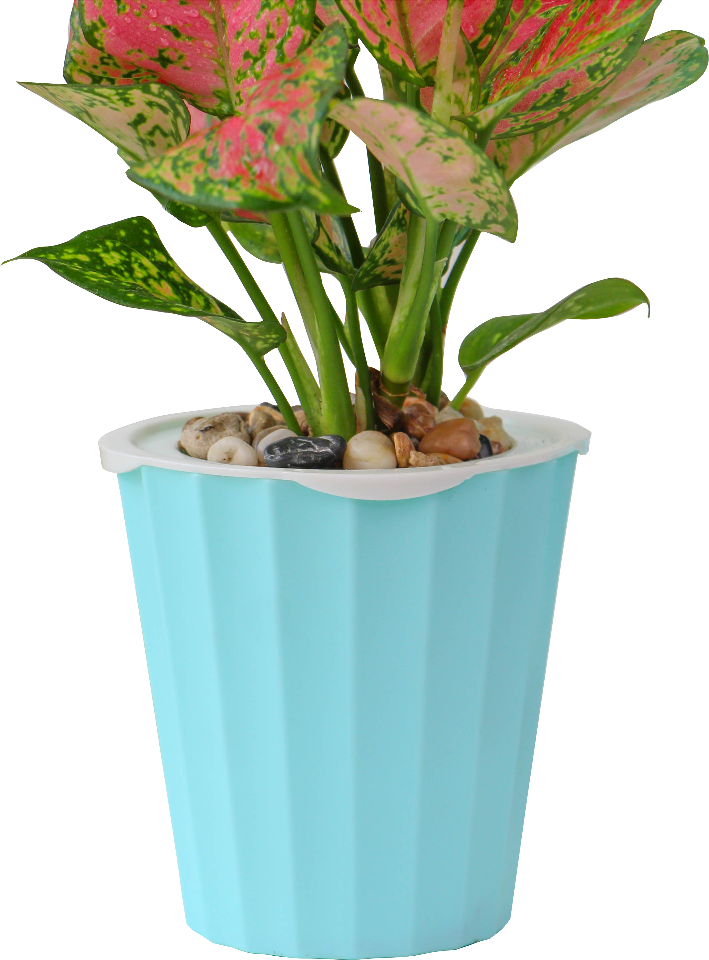 Cheap Fiber Clay Cement Vertical Garden Large Flower - Flowerpot Clipart (3456x3456), Png Download