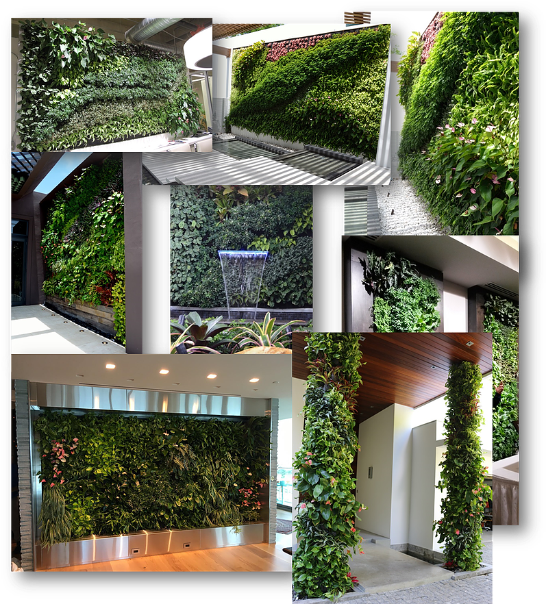 Miami Vertical Gardens And Green Living Walls, Portfolio, - Arch Clipart (806x886), Png Download