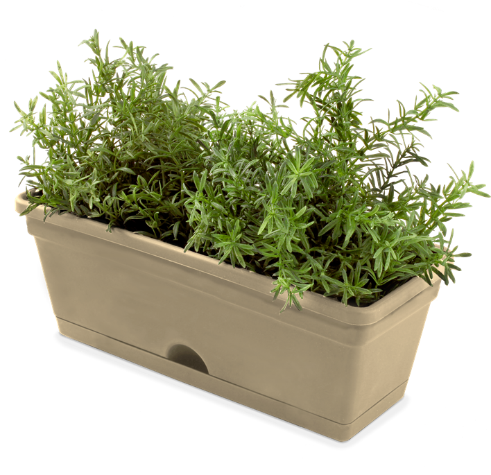 Herbs Pot Clipart (800x800), Png Download