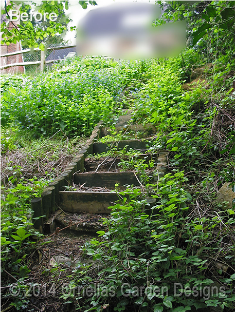 Vertical Garden Sevenoaks - Thuya Clipart (1080x608), Png Download