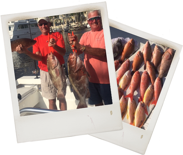 Snapper Fishing Charter In Fort Myers - Box Clipart (803x687), Png Download
