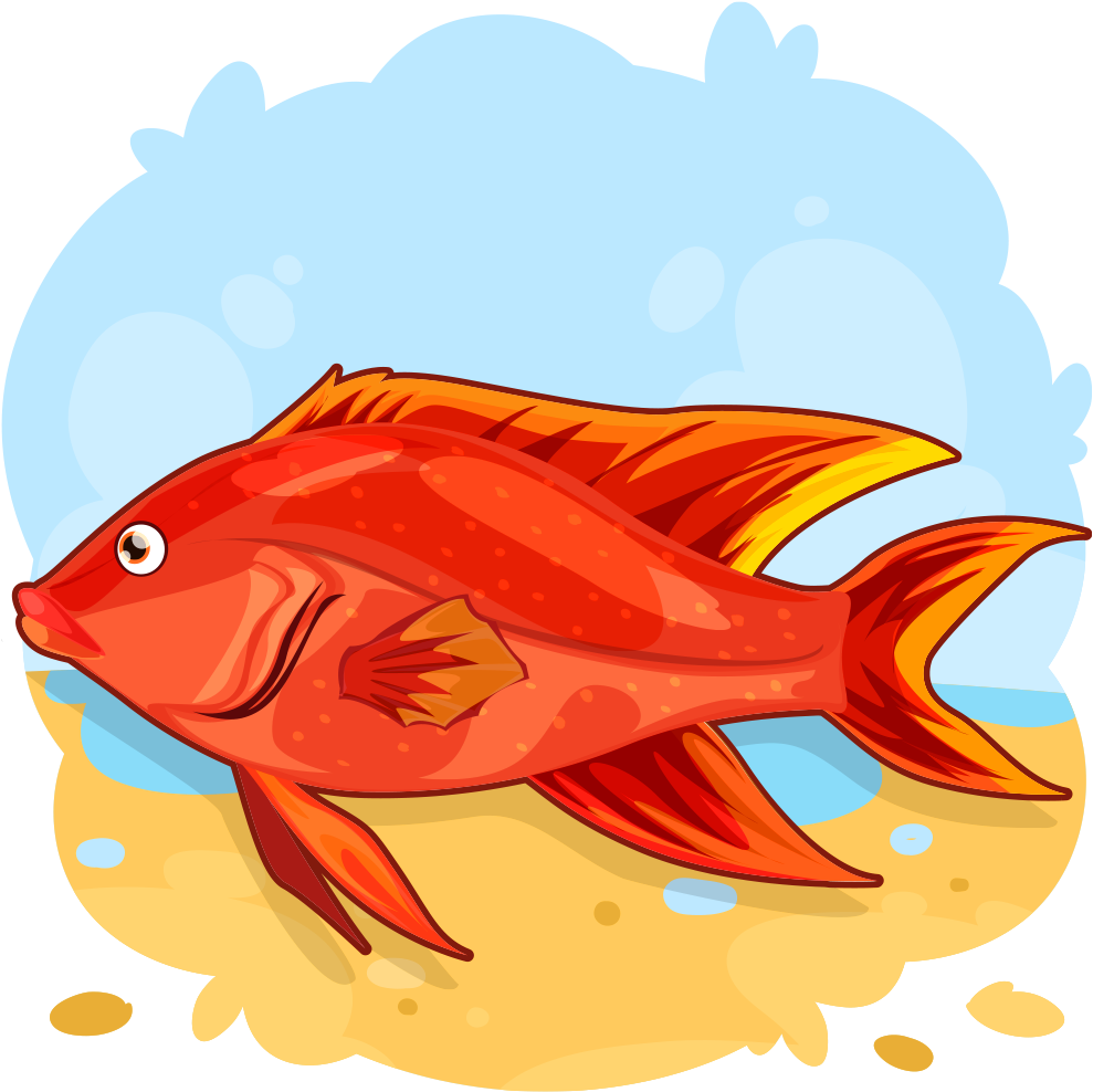 Red Snapper - Garibaldi (fish) Clipart (1024x1024), Png Download