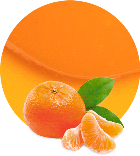 Mandarin Concentrate - Tangerine Fruit Png Clipart (536x595), Png Download