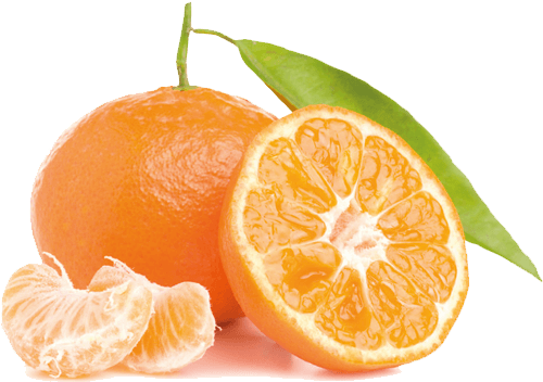 Mandarina Fruta Madurada Al Sol - Tangerina Cravo Clipart (525x600), Png Download