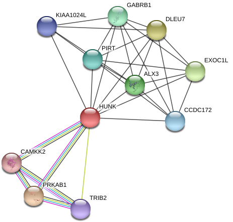 Circle Clipart (976x479), Png Download