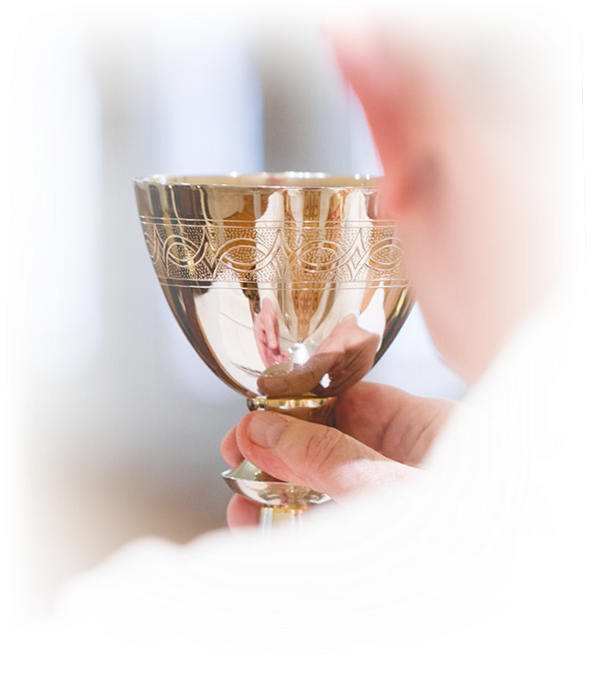 Champagne Stemware Clipart (600x743), Png Download