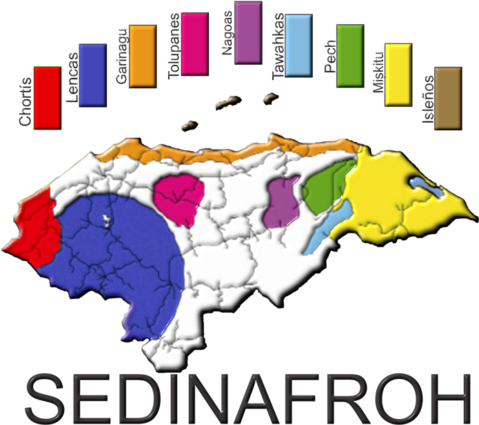 Honduras Destina Menos Del - Secretaria De Desarrollo De Los Pueblos Indigenas Y Clipart (768x654), Png Download