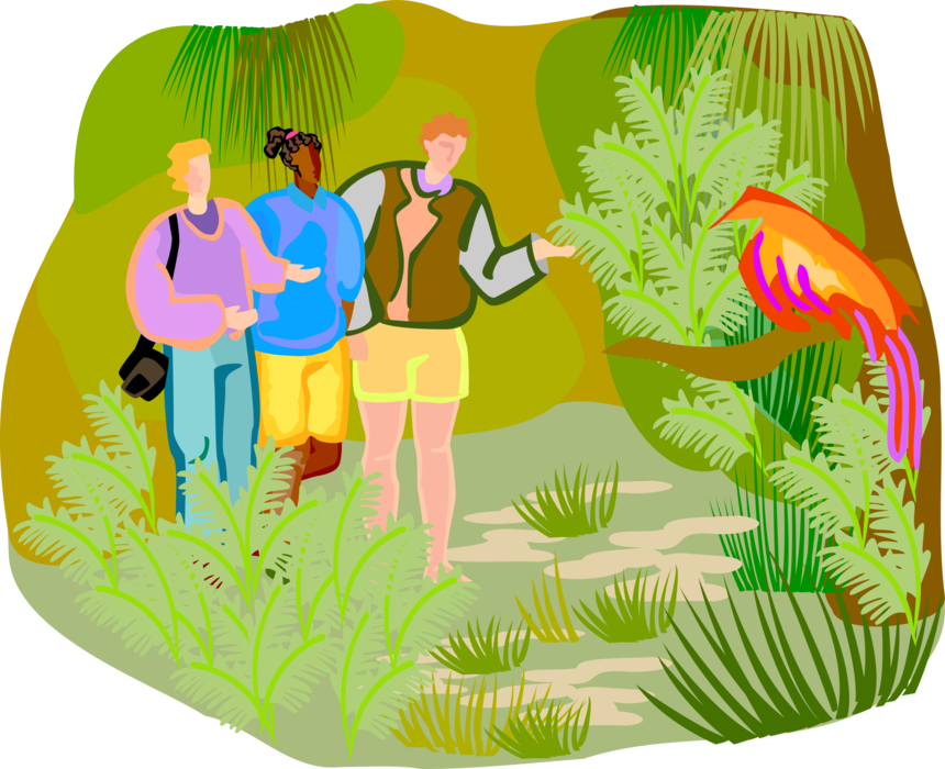 Walk Vector Nature - Walking In Nature Clipart - Png Download (860x700), Png Download