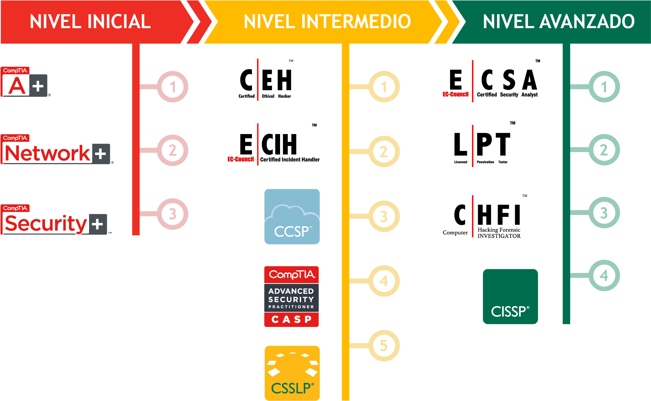 Obtener Una Certificación De Ti Puede Ayudarte A Comenzar - Comptia Network+ Clipart (2435x1525), Png Download