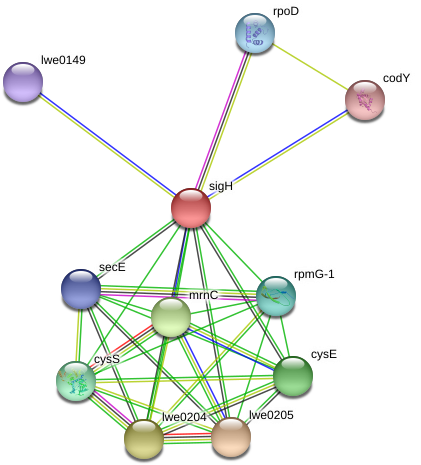 Circle Clipart (976x501), Png Download